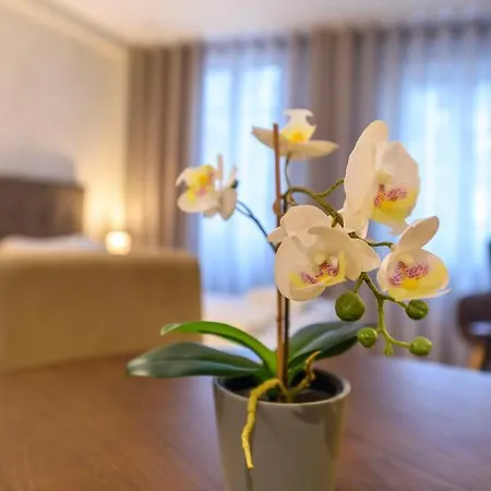 Terro Collection - Dom Pedro V 公寓