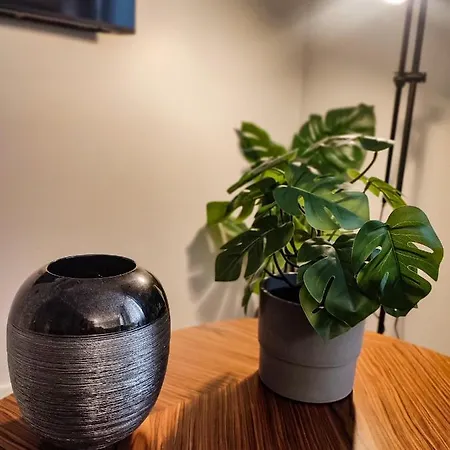 Terro Collection - Dom Pedro V 公寓 布拉加