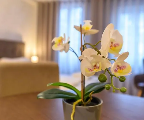 Terro Collection - Dom Pedro V Apartment