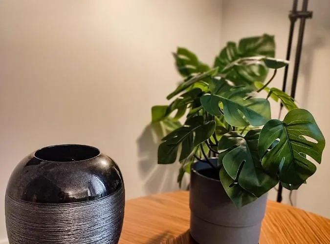 Terro Collection - Dom Pedro V 公寓 布拉加